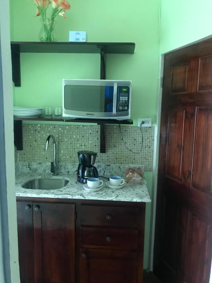 Raine'S Studio And More كينغستون المظهر الخارجي الصورة
